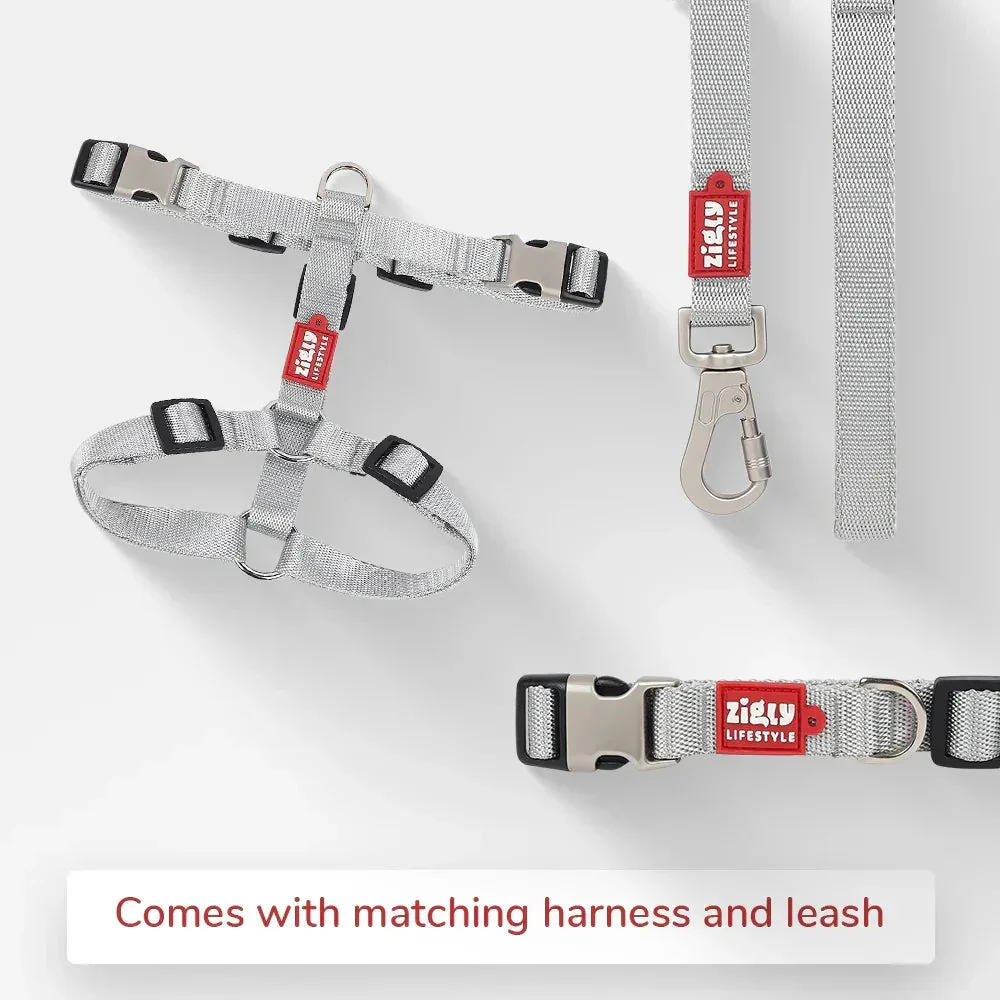 Zl Classic Silver Dog Collar - Image 5