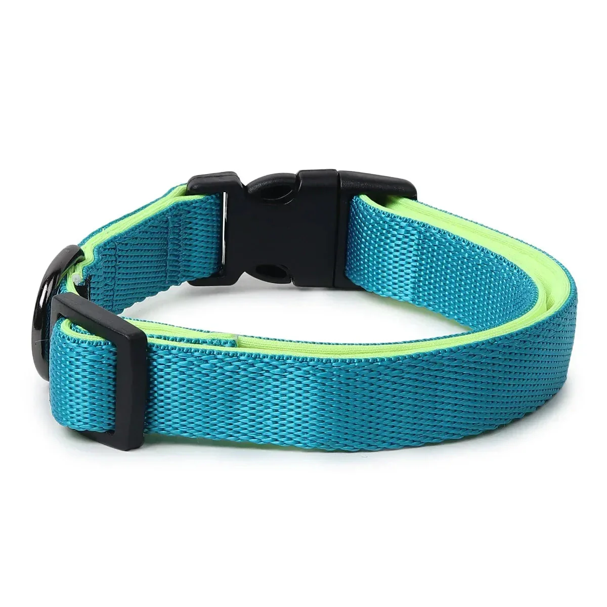 ZL Classic Padded Dog Collar - Neon Green - Image 4