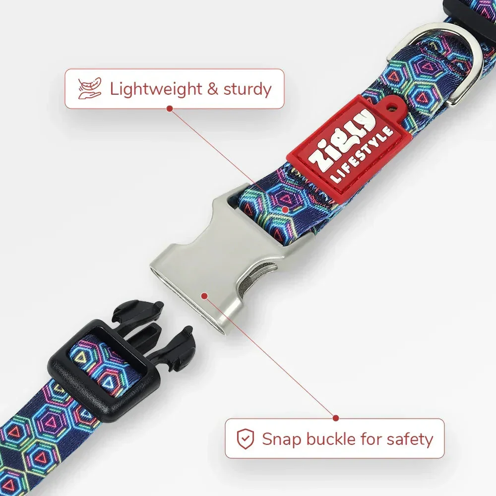 ZL Disco Dog Collar - Image 4