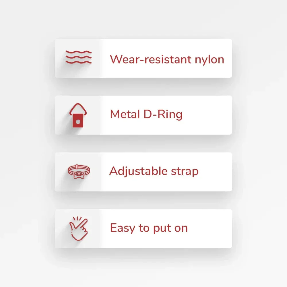 ZL Disco Dog Collar - Image 5