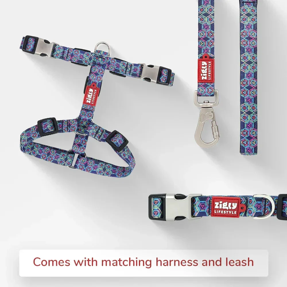 ZL Disco Dog Collar - Image 6