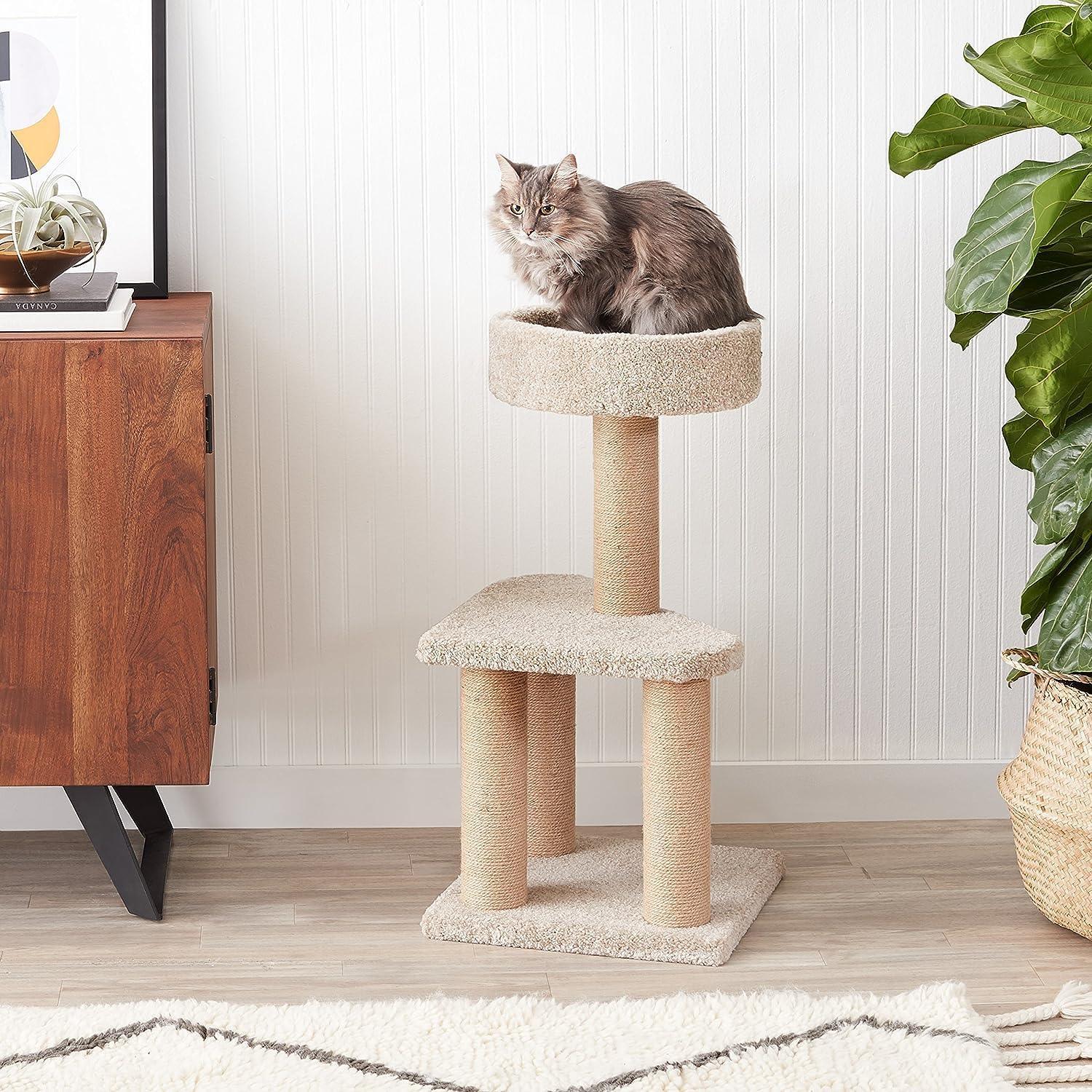 ZL Purrch & Play Cat Tree with Scratching Post – Small - Image 5