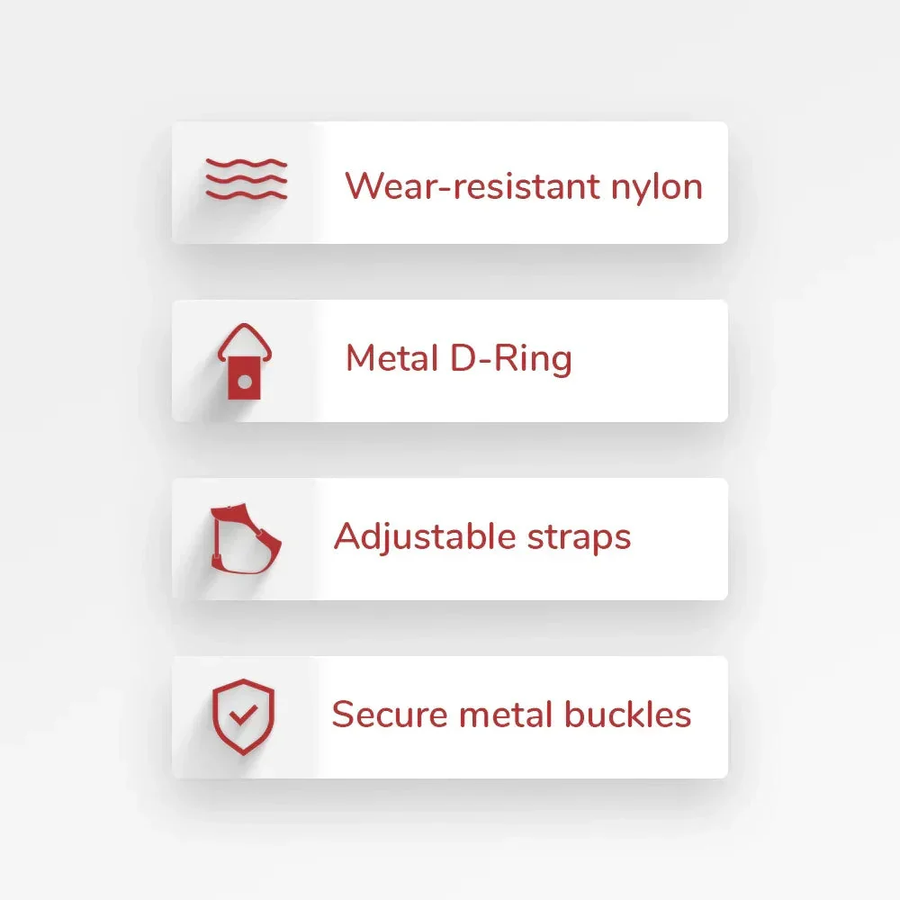 ZL Rainbow Dog Harness - Image 4