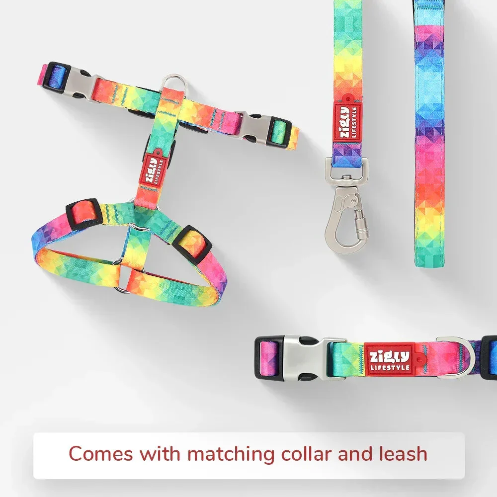 ZL Rainbow Dog Harness - Image 5