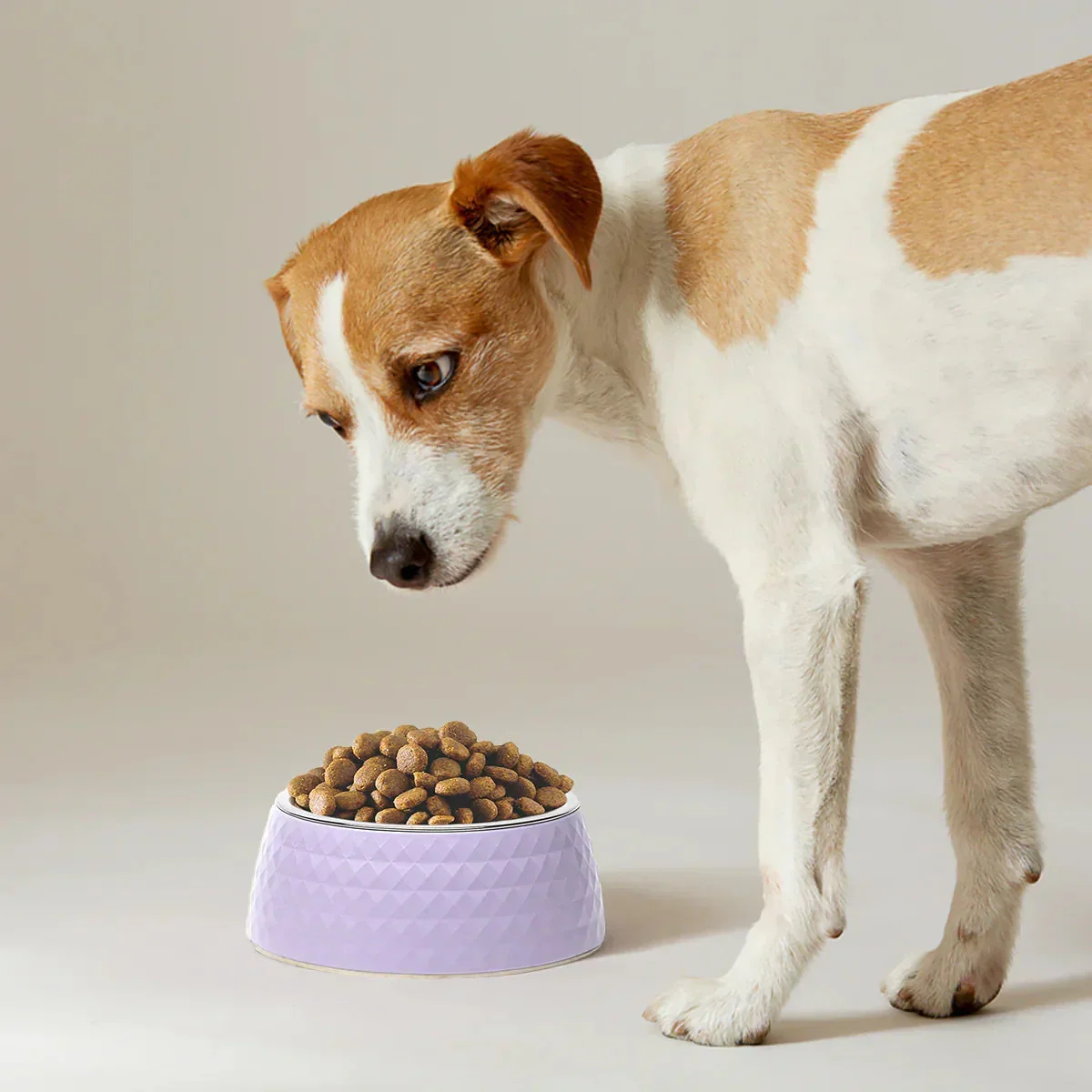 ZL Retro Pyramid Lavender Melamine Dog Bowl - Image 6