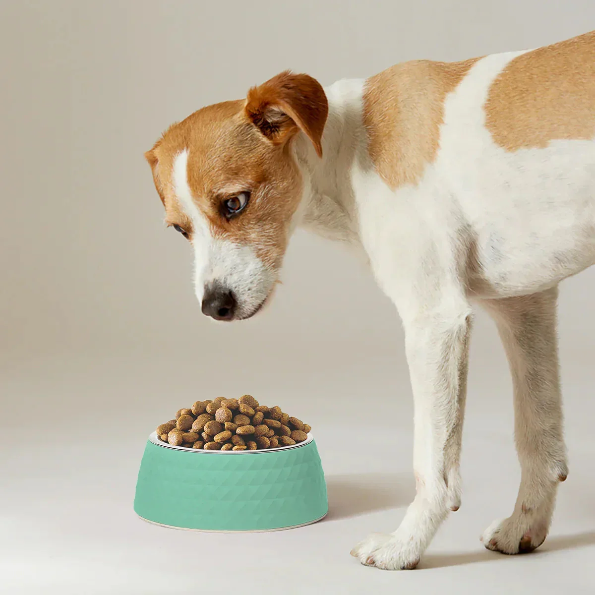 ZL Retro Pyramid Sage Melamine Dog Bowl - Image 6