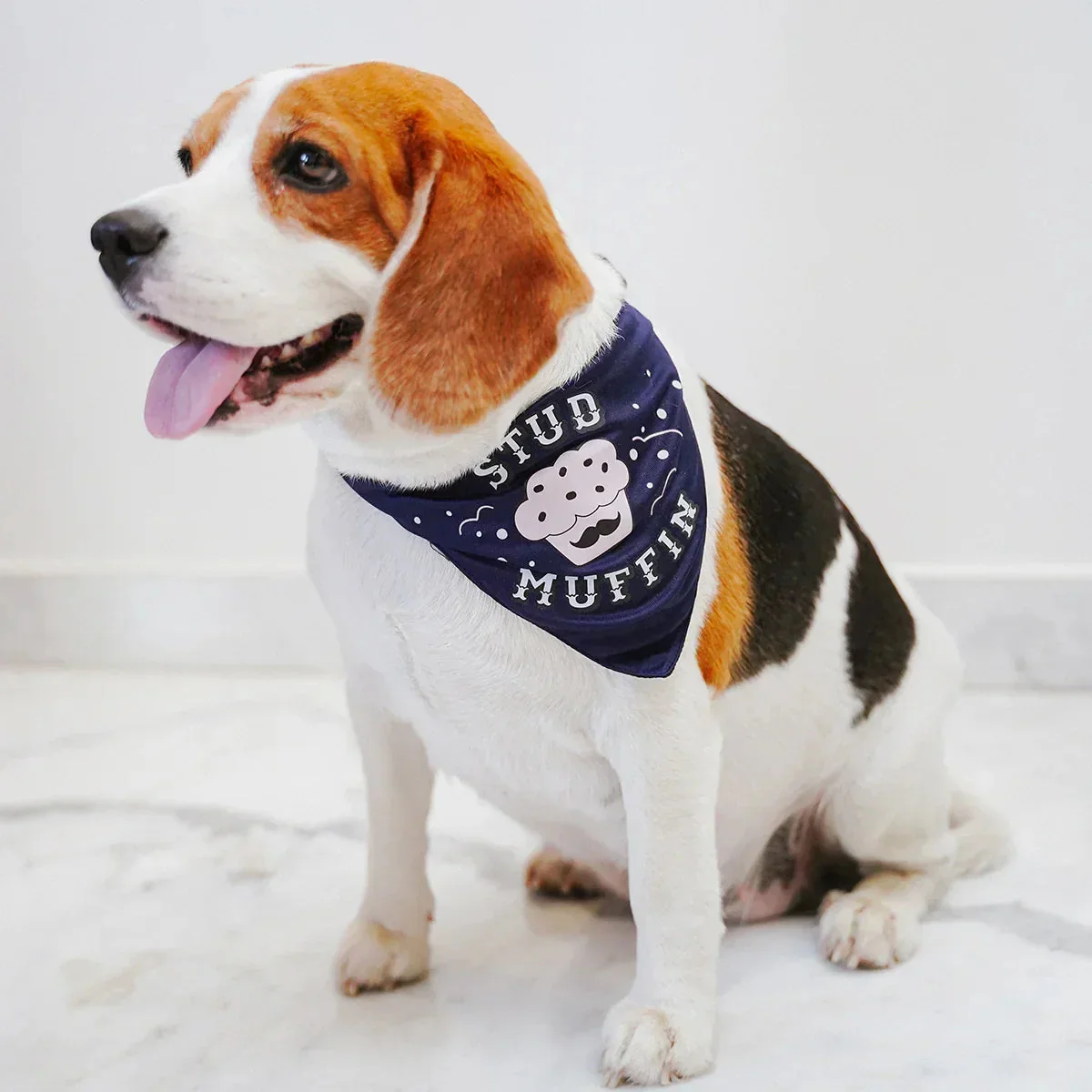 ZL STUD MUFFIN Dog Bandana - Image 5